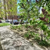 PHOTO-KIEVGRCP00010000-167565-6567f4e5